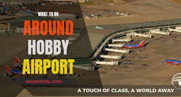 Exploring Houston: Fun Activities Near Hobby Airport