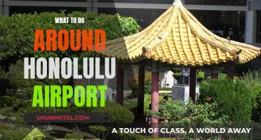 Exploring Honolulu: Airport Layover Activities and Adventures