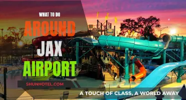 Exploring Jacksonville: Exciting Activities Near JAX Airport