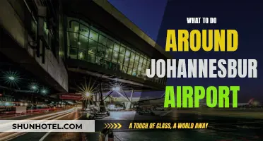 Exploring Johannesburg: Airport Layover Itinerary Ideas