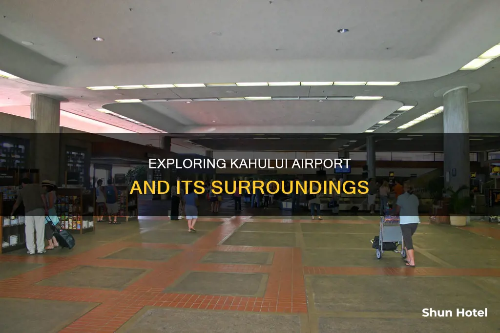 what to do around kahului airport
