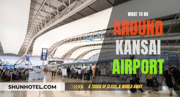 Exploring Kansai: Activities Near the Airport