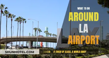 Exploring LA: Things to do Near the Airport