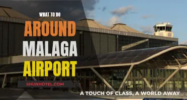 Exploring Malaga: Exciting Things to Do Near the Airport