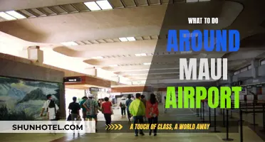 Exploring Maui: Exciting Activities Near the Airport