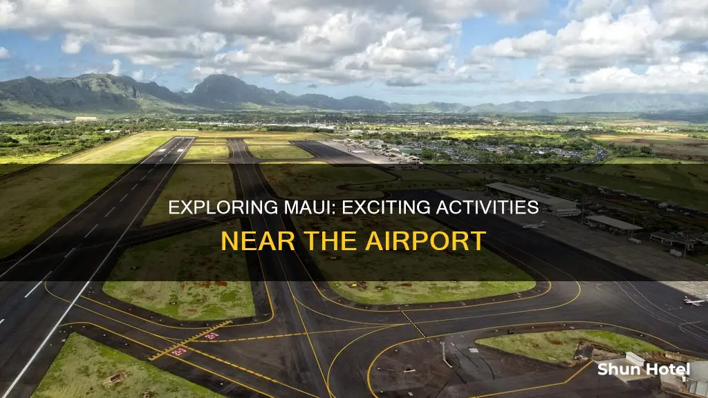 what to do around maui airport