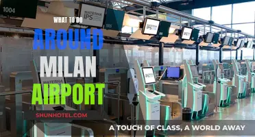 Exploring Milan Airport and its Surroundings