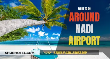 Exploring Fiji: Activities Near Nadi Airport