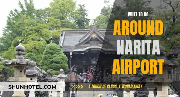 Exploring Narita Airport and its Surroundings