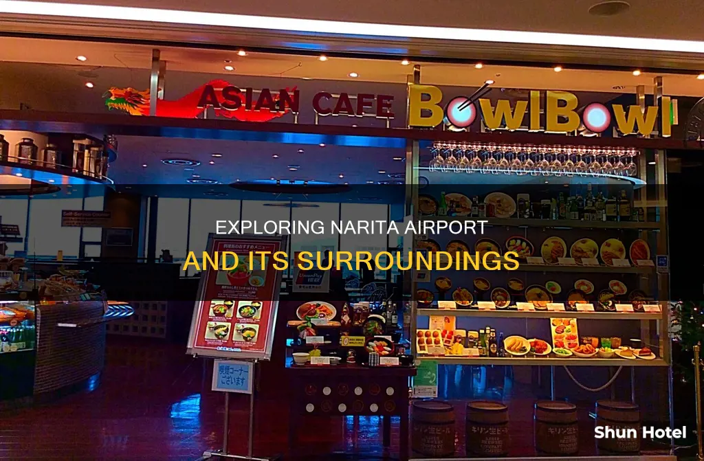 what to do around narita airport