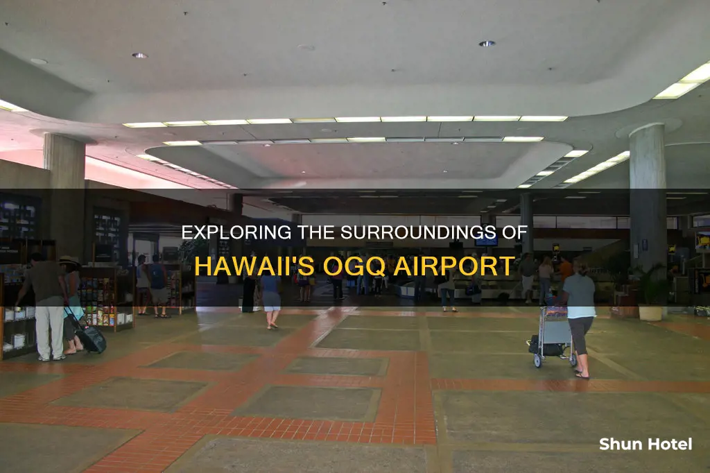 what to do around ogg airport