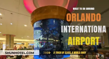 Explore Orlando: Top Attractions Near the International Airport