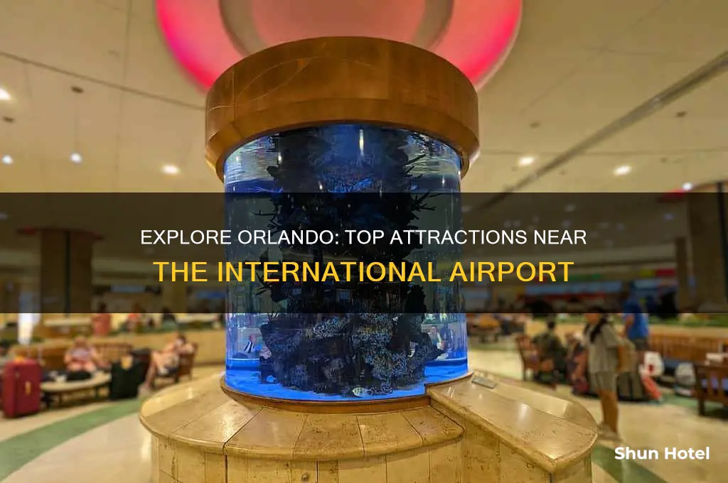 what to do around orlando international airport