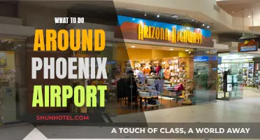Exploring Phoenix: Airport Layover Activities and Adventures