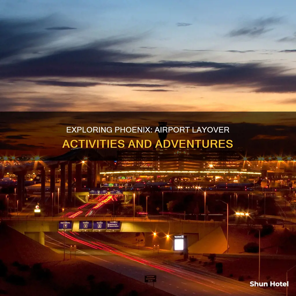 what to do around phoenix airport