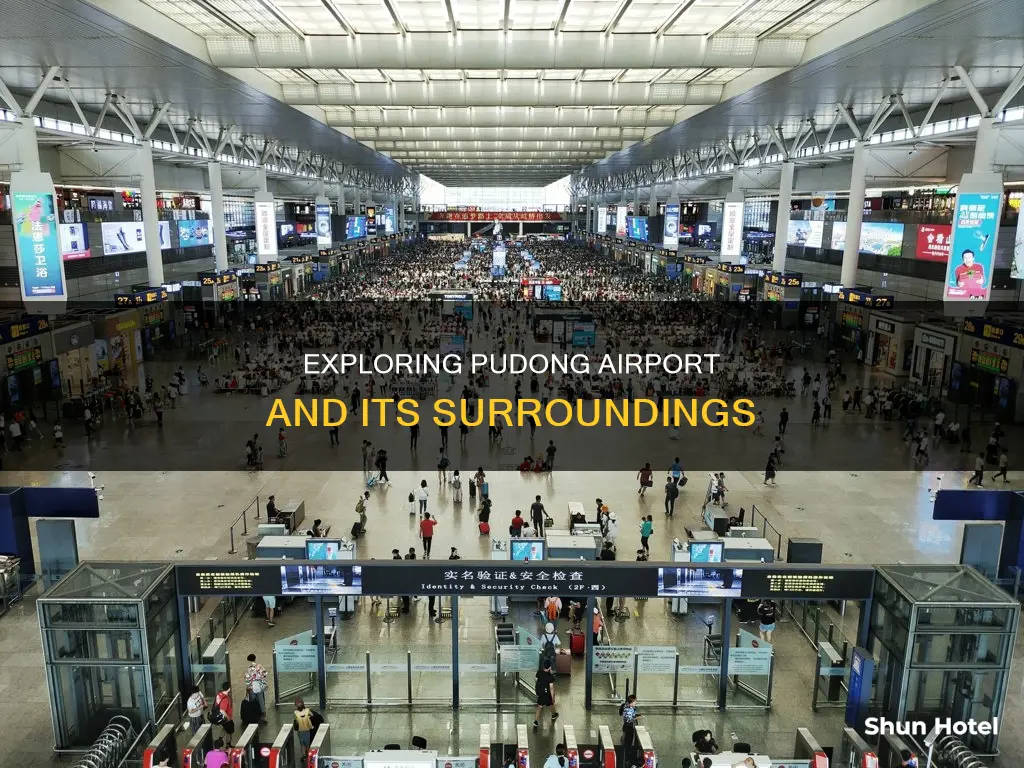what to do around pudong airport