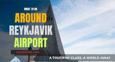 Exploring Reykjavik: Exciting Activities Near the Airport