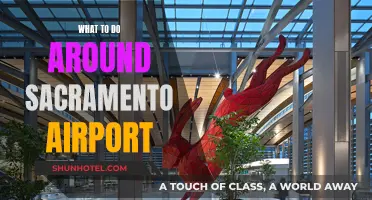 Exploring Sacramento: Airport Layover Activities and Attractions