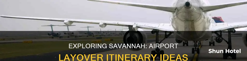 what to do around savannah airport