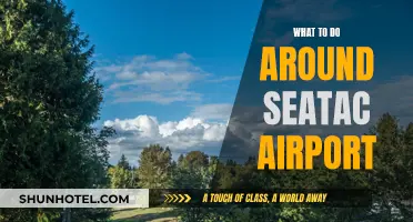 Exploring Seattle: Fun Activities Near Sea-Tac Airport