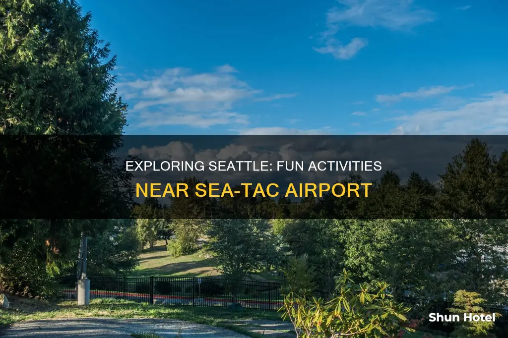 what to do around seatac airport