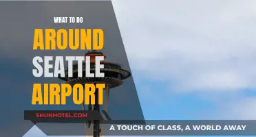 Exploring Seattle: Exciting Activities Near the Airport