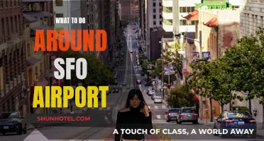 Exploring SFO: Things to Do and See Near the Airport