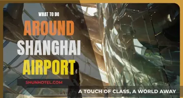 Exploring Shanghai Airport and its Surroundings