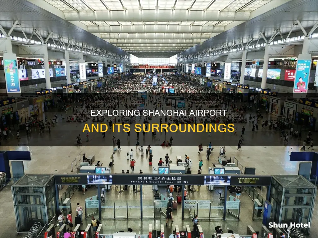 what to do around shanghai airport