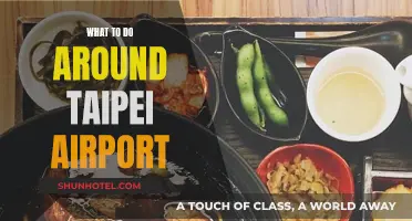 Exploring Taipei: Exciting Activities Near Taoyuan Airport