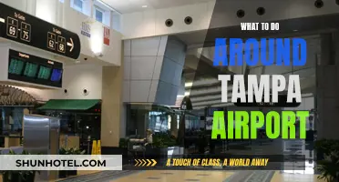 Exploring Tampa: Exciting Activities Near the Airport