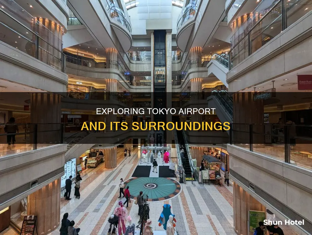 what to do around tokyo airport