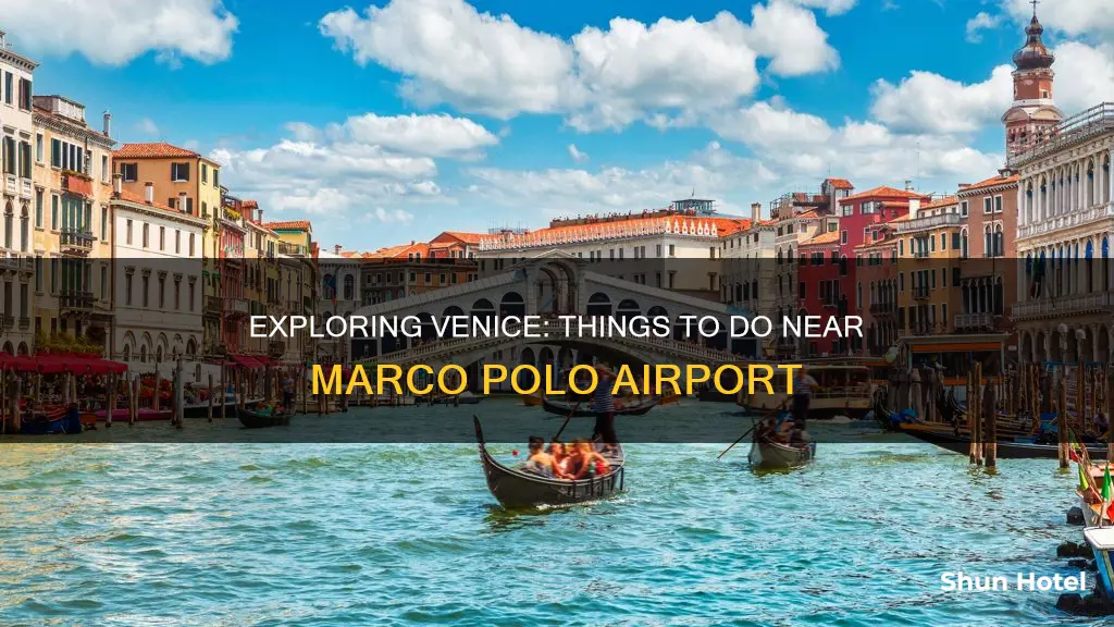 what to do around venice airport