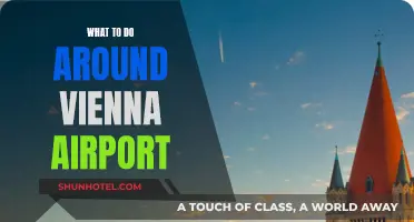Exploring Vienna's Airport Surroundings: A Quick Guide
