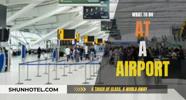 Exploring Airports: Activities and Things to Do