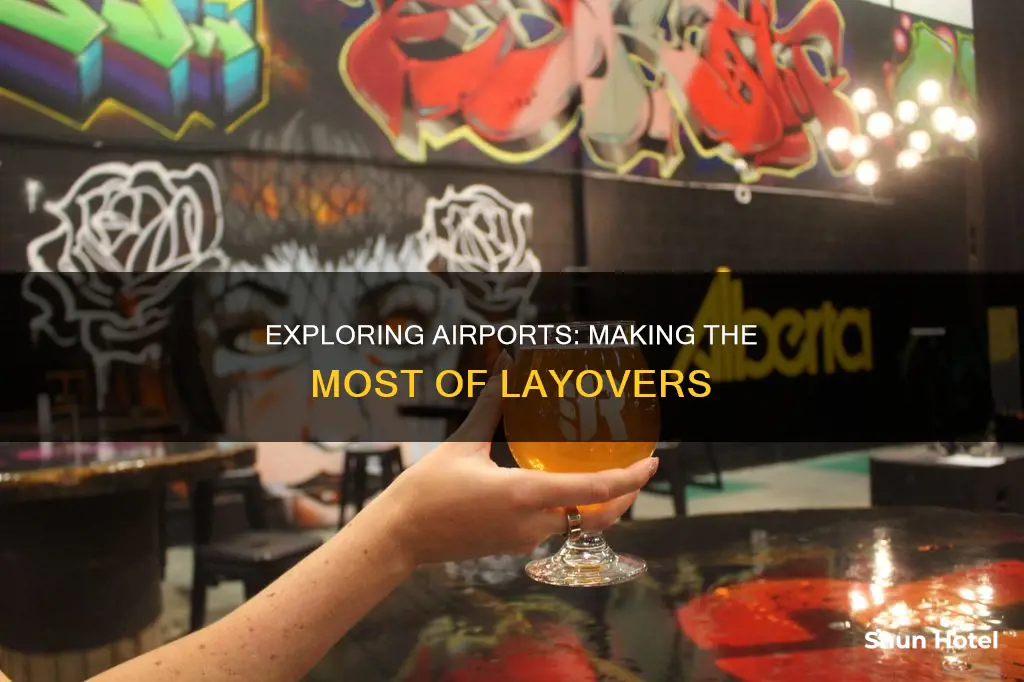 what to do at airport layover