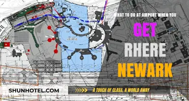 Newark Airport Essentials: Top Tips for First-Time Travelers