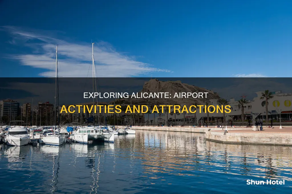 what to do at alicante airport