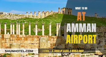 Exploring Amman Airport: Things to Do and See