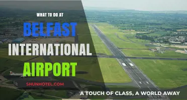 Top Activities and Tips for Belfast International Airport Visitors