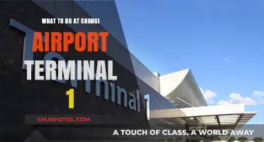 Exploring Changi Airport Terminal 1: A Traveler's Guide