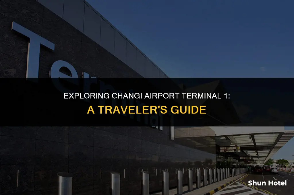 what to do at changi airport terminal 1
