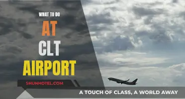 Exploring CLT Airport: Activities and Attractions