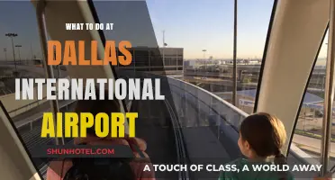 Exploring Dallas International Airport: Top Activities and Hidden Gems