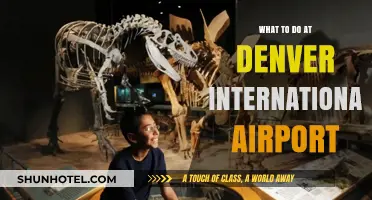 Explore Denver Airport: Top Activities, Dining, and Hidden Gems