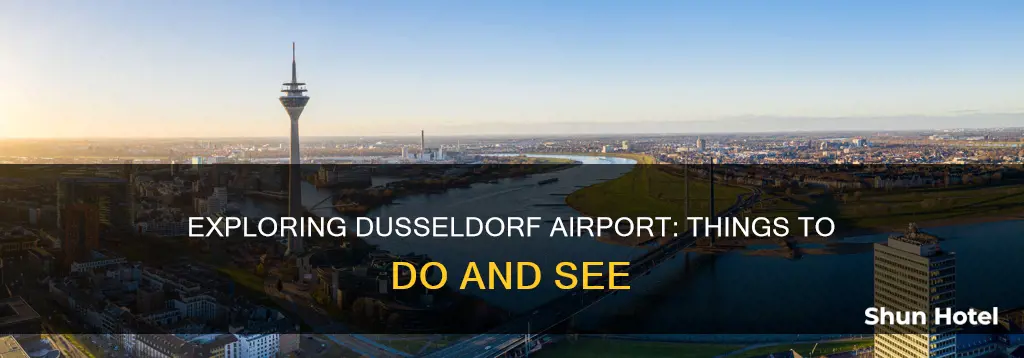 what to do at dusseldorf airport