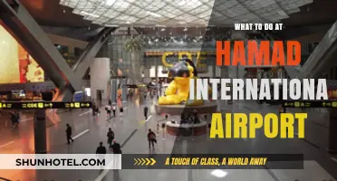 Exploring Hamad International Airport: Top Activities and Must-See Attractions