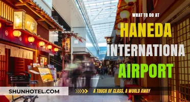 Exploring Haneda: Top Activities and Hidden Gems at Tokyo's Airport