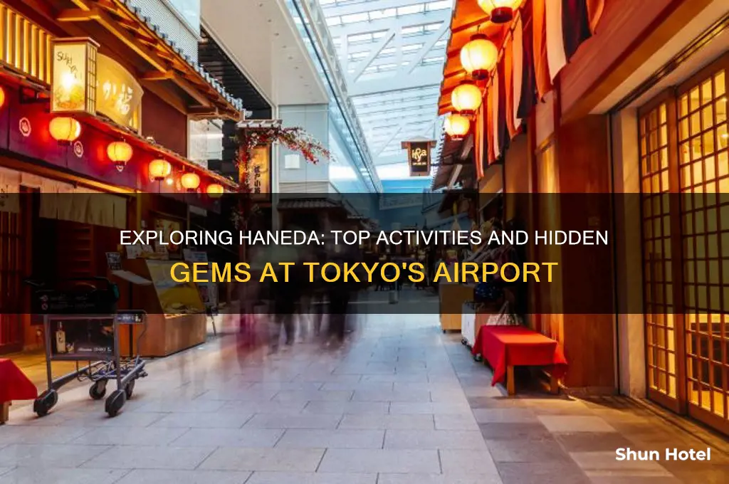 what to do at haneda international airport