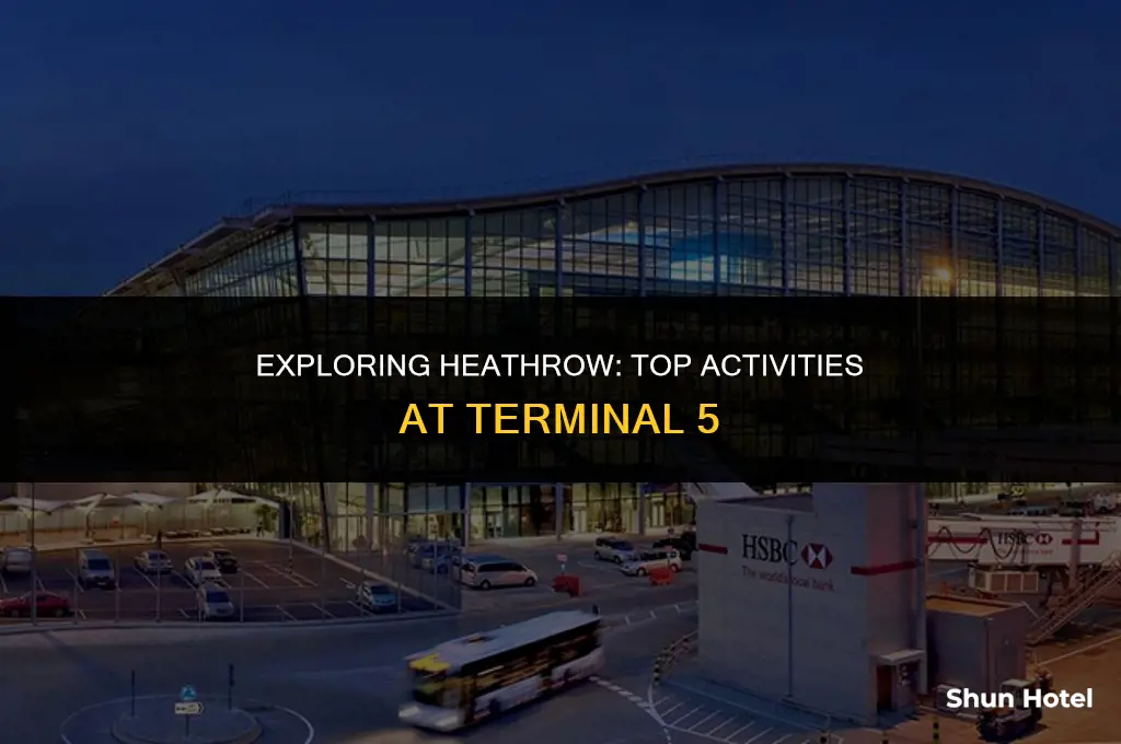 what to do at heathrow airport terminal 5